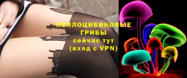 мдпв Усмань