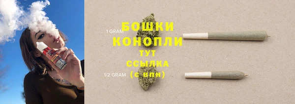 МДПВ Гусев