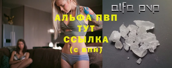 МДПВ Гусев