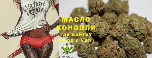 МДПВ Гусев