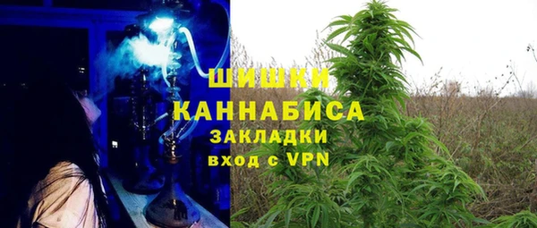 соль ск Гусь-Хрустальный